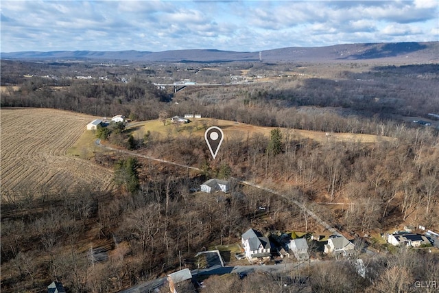 birds eye view of property featuring a mountain view