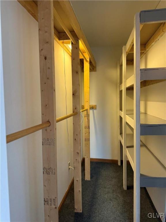 walk in closet featuring dark colored carpet