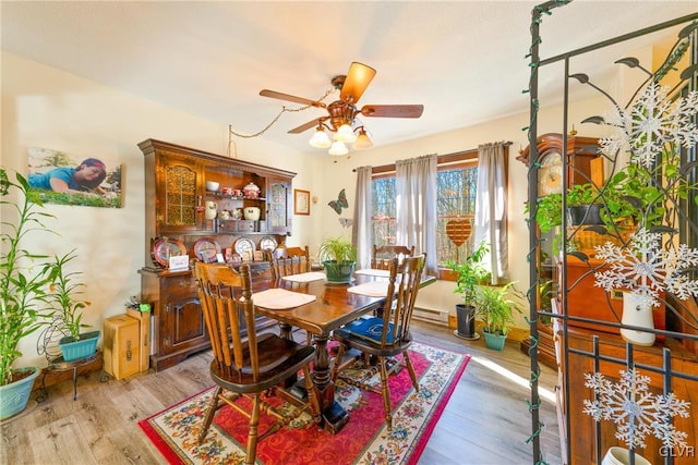 dining area featuring ceiling fan and light hardwood / wood-style flooring