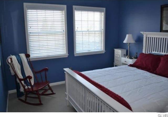 bedroom with light carpet and multiple windows