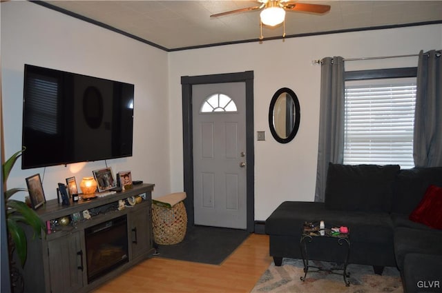 living room featuring light hardwood / wood-style floors, a wealth of natural light, crown molding, and ceiling fan