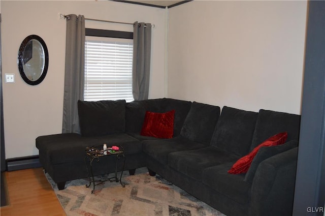 living room featuring wood-type flooring