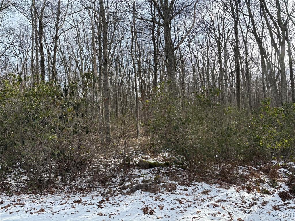 view of snowy landscape