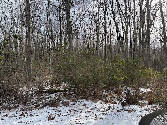 view of snow covered land