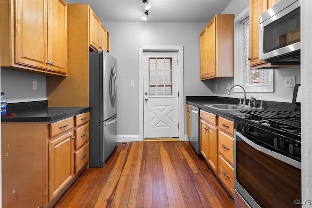 kitchen with dark hardwood / wood-style floors, sink, and appliances with stainless steel finishes