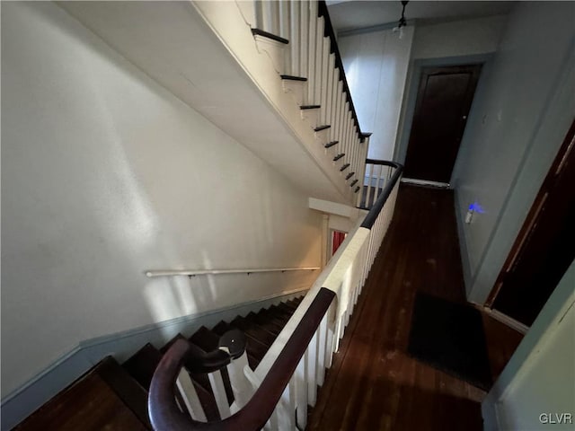 stairway featuring hardwood / wood-style floors