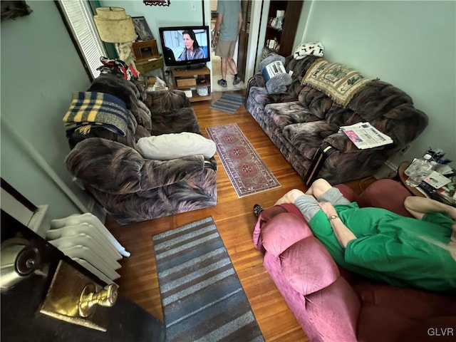 living room with hardwood / wood-style floors