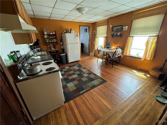 kitchen with a paneled ceiling, white appliances, extractor fan, sink, and hardwood / wood-style floors