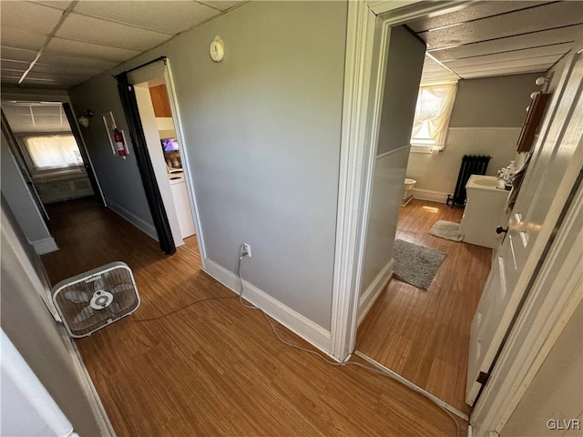 hallway featuring a wealth of natural light, hardwood / wood-style flooring, and a drop ceiling