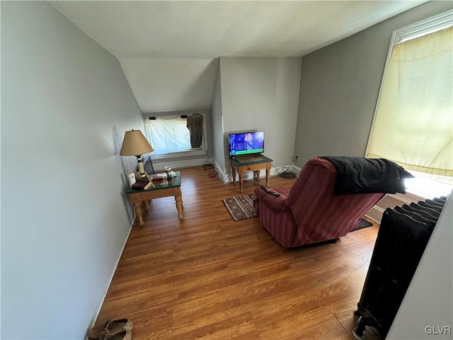 living room featuring vaulted ceiling and hardwood / wood-style flooring