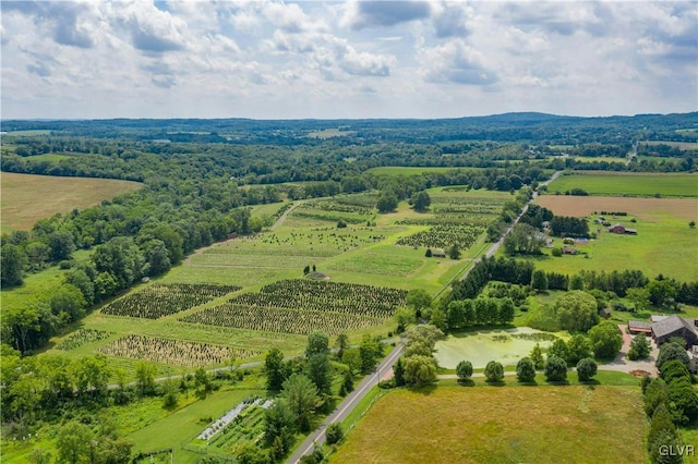 drone / aerial view with a rural view