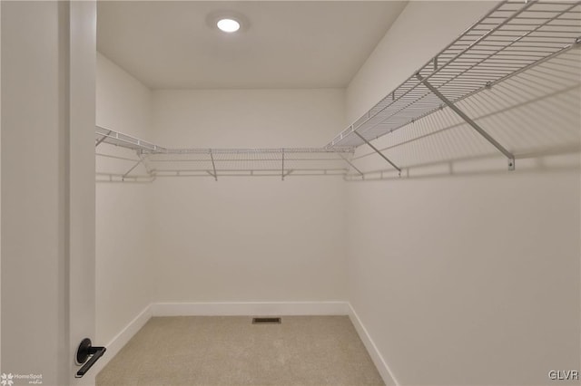 walk in closet with carpet