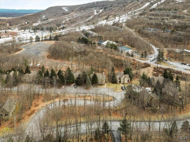 birds eye view of property featuring a mountain view