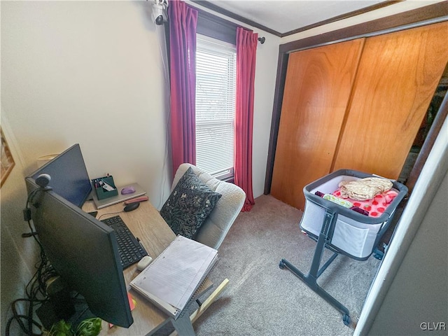 carpeted office with crown molding