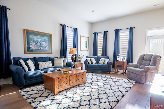 living room with hardwood / wood-style flooring