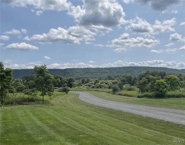 view of property's community with a lawn and a mountain view