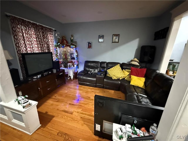 living room featuring light wood-type flooring