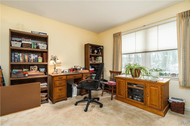 view of carpeted home office