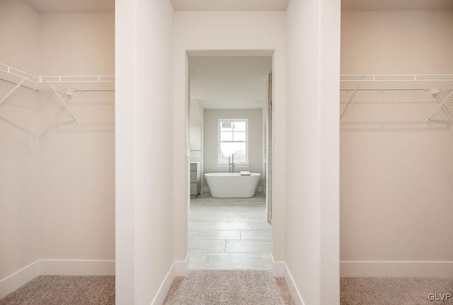 spacious closet featuring carpet flooring