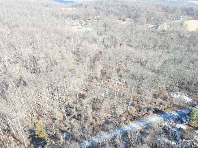 Buttermilk Rd, Williams Twp, PA 18042 - photo 1