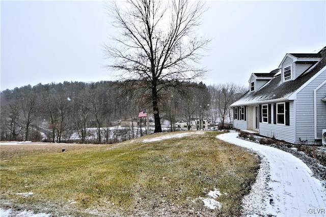 view of yard covered in snow