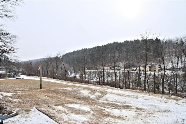 view of snowy yard