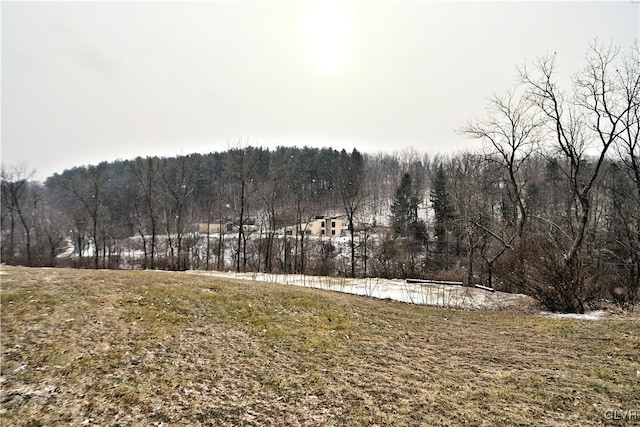 view of yard featuring a water view