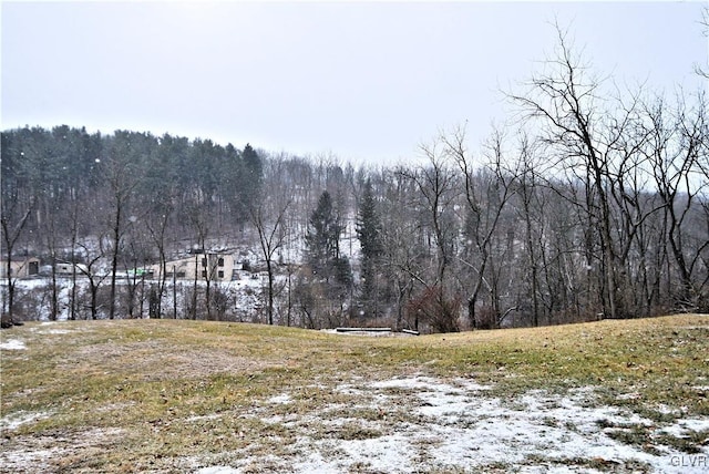 view of local wilderness