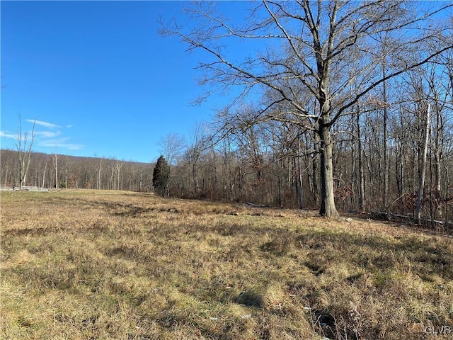 view of local wilderness