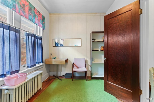 sitting room with radiator heating unit