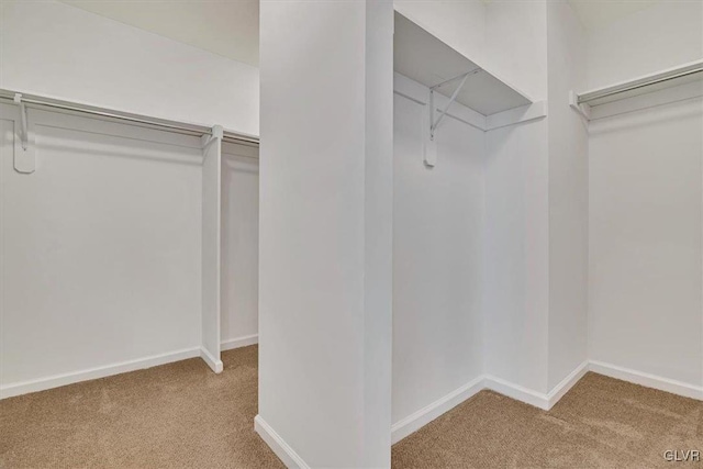 spacious closet featuring light colored carpet