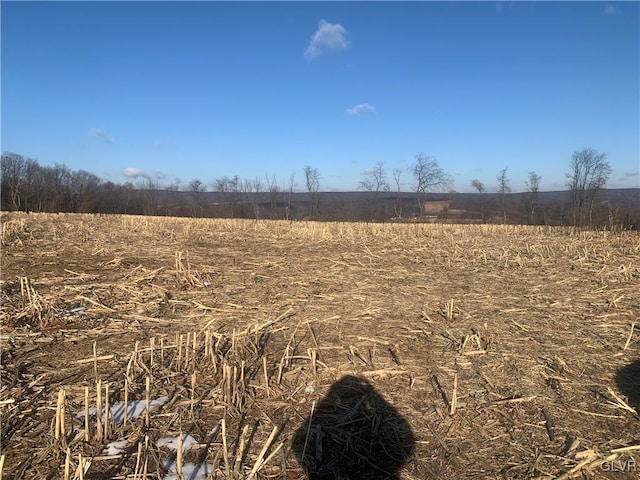 view of landscape with a rural view