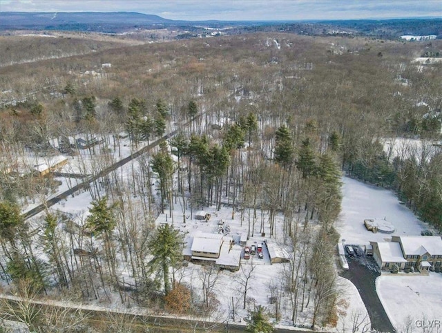 snowy aerial view featuring a mountain view