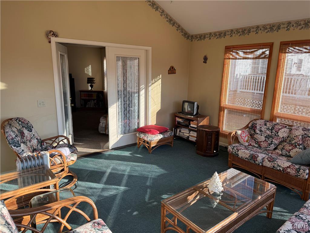 living room featuring vaulted ceiling, a wealth of natural light, and carpet floors