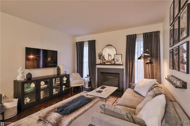 living room featuring dark hardwood / wood-style floors