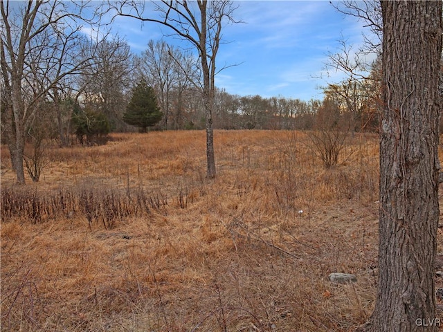 view of local wilderness