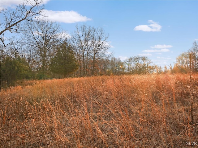 view of landscape