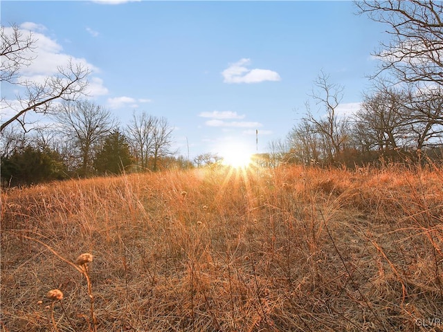 view of local wilderness