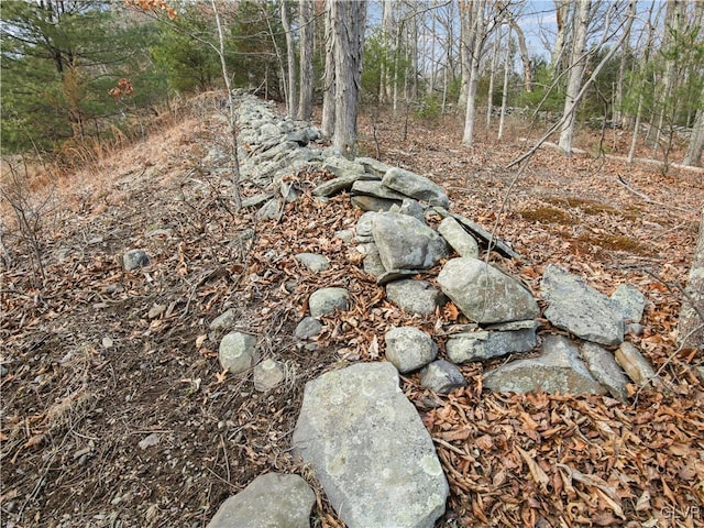 view of local wilderness