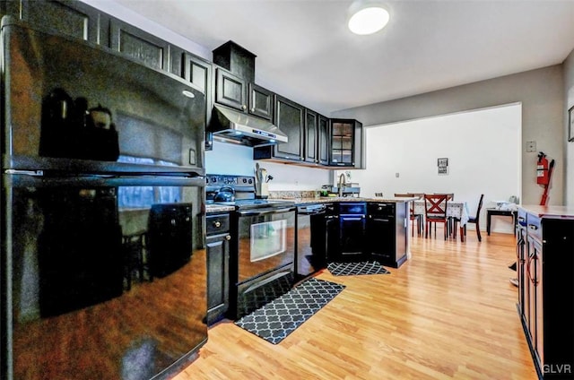 kitchen with black appliances, light hardwood / wood-style flooring, and sink