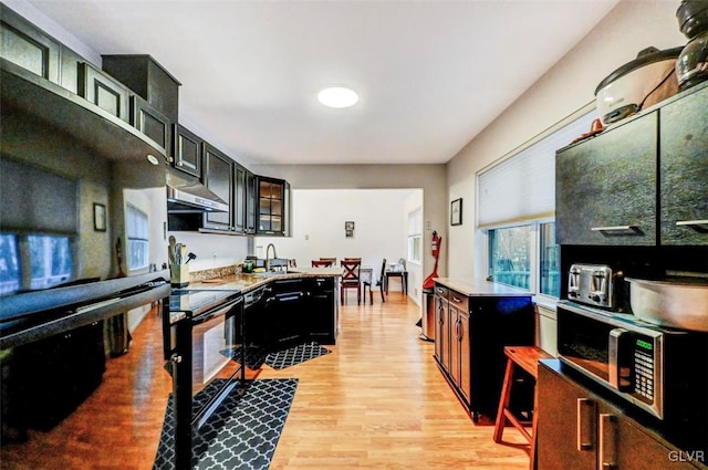 kitchen with electric stove, light hardwood / wood-style floors, black dishwasher, and sink