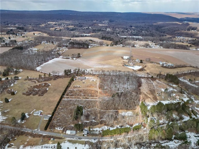 aerial view with a mountain view