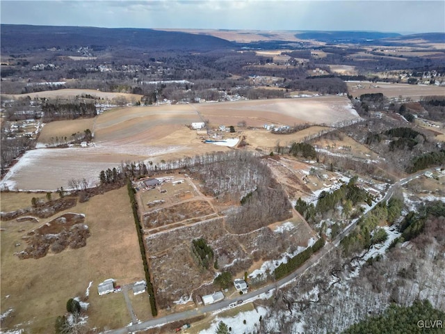 birds eye view of property featuring a rural view