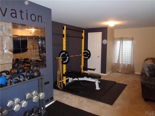 exercise room featuring carpet floors