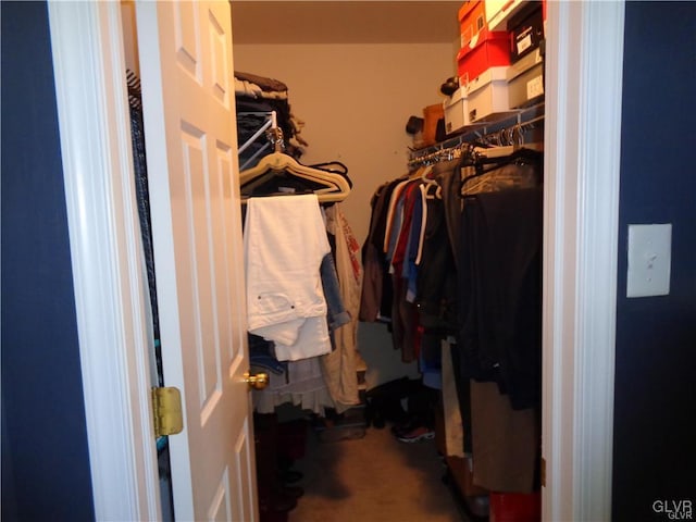 view of spacious closet