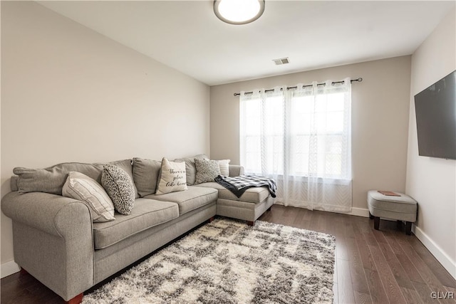 living room featuring dark wood-type flooring