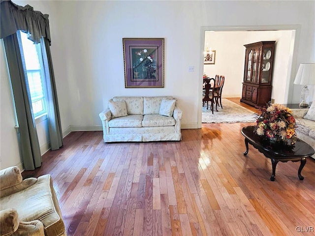 living room featuring wood-type flooring