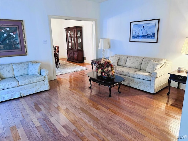 living room with hardwood / wood-style floors