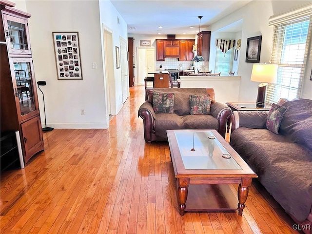 living room with light hardwood / wood-style flooring