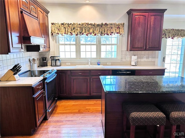 kitchen with premium range hood, decorative backsplash, light wood-type flooring, stainless steel electric stove, and sink